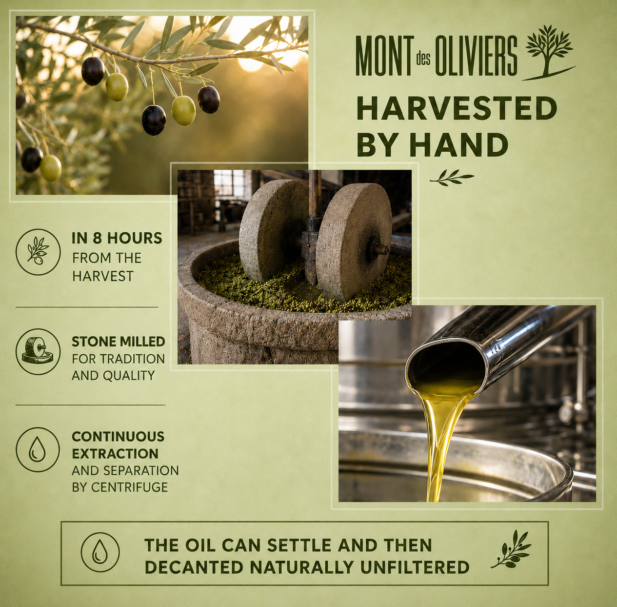 Mont des Oliviers Lebanese Extra Virgin Olive Oil – 500ML Glass