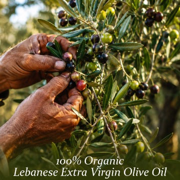 Mont Des Olivers Lebanese Extra Virgin Olive Oil, 33.81 Fl Oz (1L Tin) –